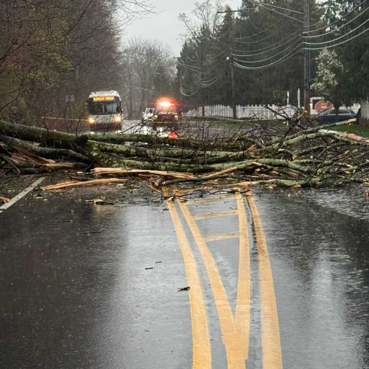 Hillside Avenue (Route 100) in Greenburgh at Valimar Boulevard was closed thanks to a downed tree.&nbsp;