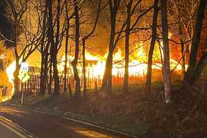 Firefighters Rescue Horse From Burning Barn During Back-To-Back Calls In Frederick County