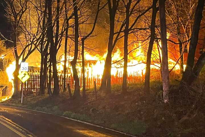 Firefighters Rescue Horse From Burning Barn During Back-To-Back Calls In Frederick County