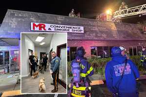 46 Dogs Rescued From Fire At Luxury Pet Resort In North Jersey: Police