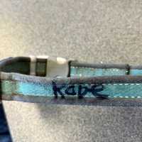 <p>Kobe's collar.&nbsp;</p>