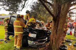 Driver Hospitalized After Pickup Crashes Into Tree Along Jersey Shore