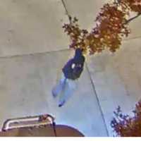 <p>The person caught on surveillance camera in the area.</p>