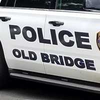 Major Cruelty Case Seizes 21 Animals From Central Jersey Pair: Police