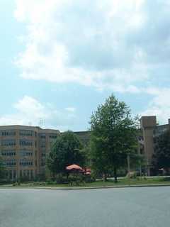 Get Information On Dementia At Ferncliff Nursing Home Program In Rhinebeck