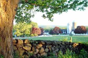 Yorktown's Hilltop Hanover Farm Celebrates Autumn With Family-Fun Events