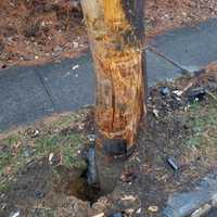 <p>A driver who was allegedly on drugs lost control of his car and struck a utility pole in Ramapo.</p>