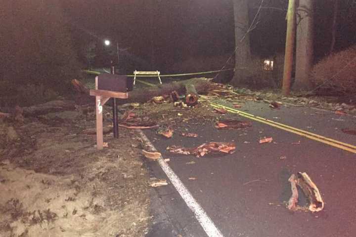 Wind, Downed Trees Knock Out Power In Rockland