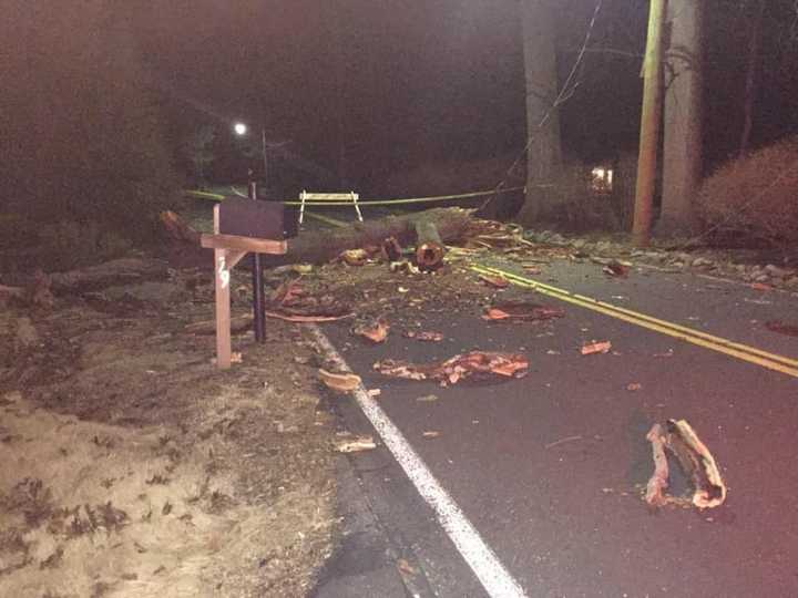 A downed tree and wires on Hillside Avenue.