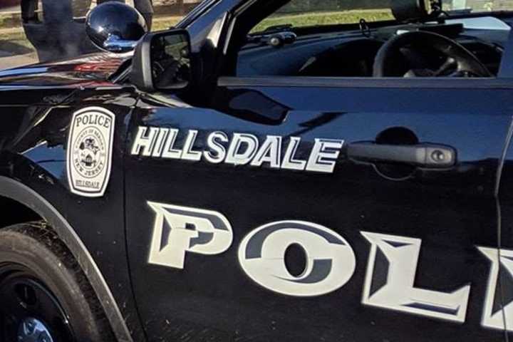 Hillsdale Man Arrested In Assault