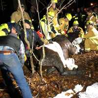 <p>The Patterson Fire Department works to rescue a stuck horse.</p>