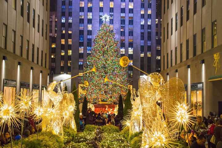 Christmas Tree From Hudson Valley To Be Lit Tonight At Rockefeller Center