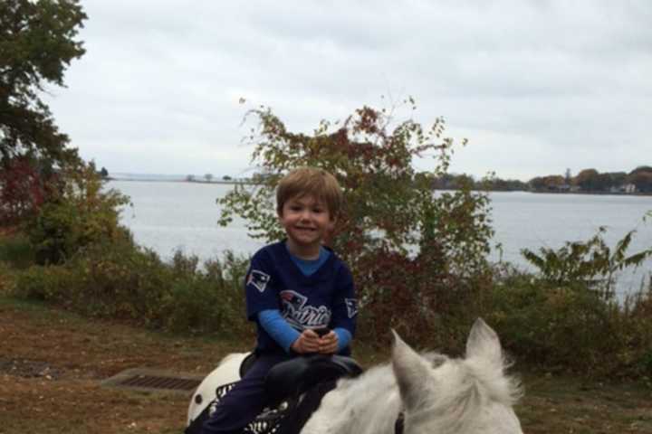 Pony Rides, Magic And Games On Tap For Kids At Holly Pond Family Fun Day