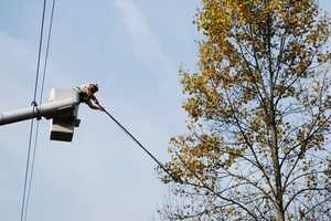 JCP&L Will Trim Trees Along 3,400 Miles Of Power Lines To Reduce Outages