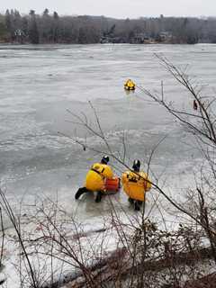 Deer Rescued After Getting Stuck On Lake Zoar