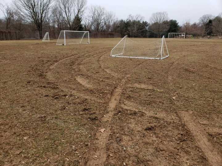 Two teens who allegedly damaged a soccer field have been charged.