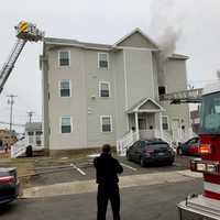 <p>Six bunnies were killed during a Milford house fire.</p>