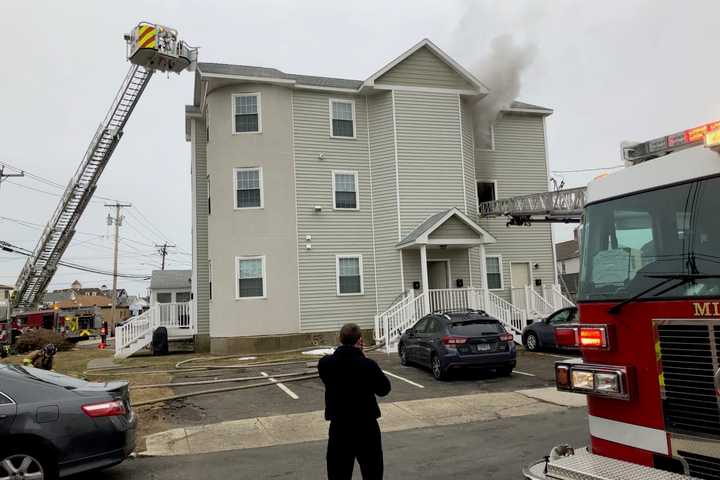 Six Bunnies Killed In Milford Fire