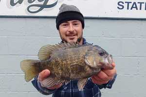 Record-Setting Fish Caught By Harford County Angler