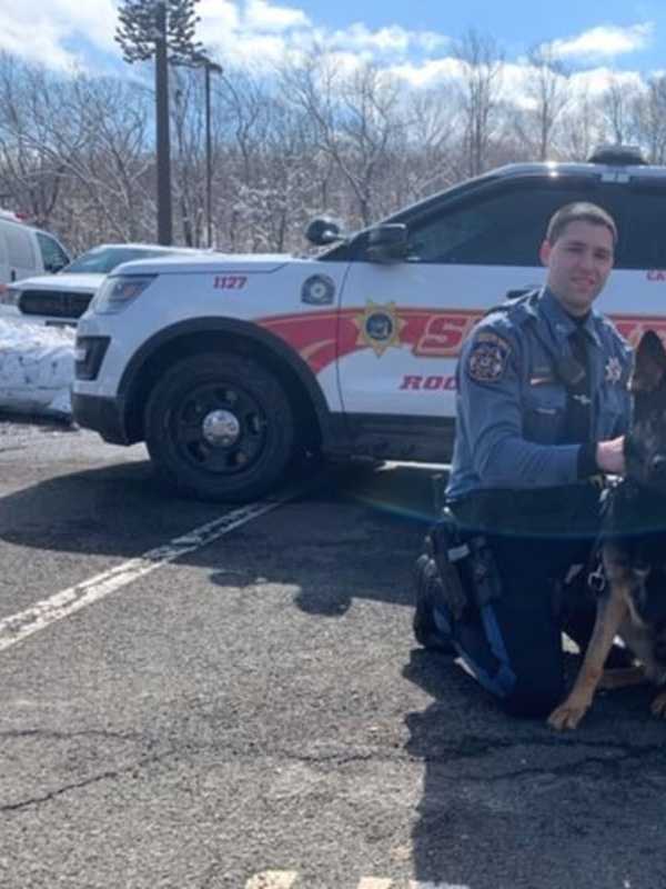 K9 Officer Mac Joins Rockland Sheriff's Office By Way Of Hungary