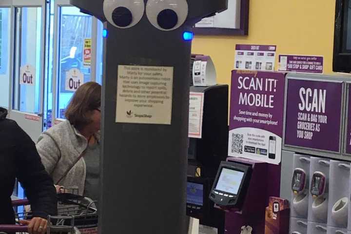 Cleanup In Aisle 3: Stop & Shop Begins Robot Rollout