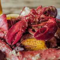 <p>Hook &amp; Reel is coming to Elmwood Park.</p>