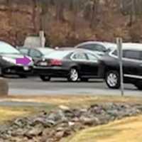 <p>Anyone who might have seen something, has images from the event facing the parking lot, or has information that could help identify those responsible is asked to contact the Westwood police detectives at (201) 664-7008. Or email: tips@westwoodnj.gov.</p>