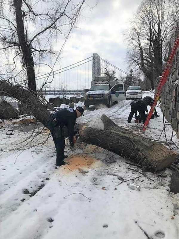 Port Authority PD Clears Storm-Downed Trees From Edgewater GWB Access Road