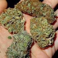 NJ Lawmakers OK Legal Pot Under 6 Ounces, Just Needs Murphy's Signature