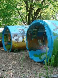 Teaneck Creek Conservancy Organizes 'Water ROCKS' Workshop
