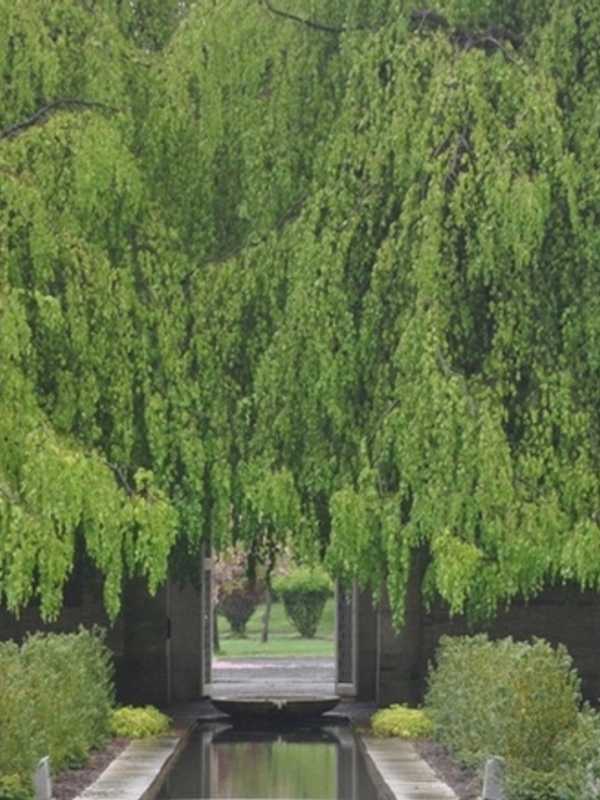 New York Times Focuses On Yonkers' Untermyer Gardens Restoration