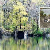 <p>Jenny was found in the cage at the water&#x27;s edge. Tonya Fea (right) was charged with killing her.</p>