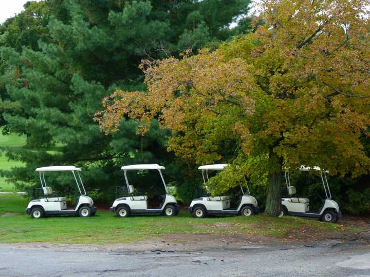 Three women were injured, Bedford Police said, after a golf cart at GlenArbor Golf Club rolled over. Pictured are a series of unrelated carts.