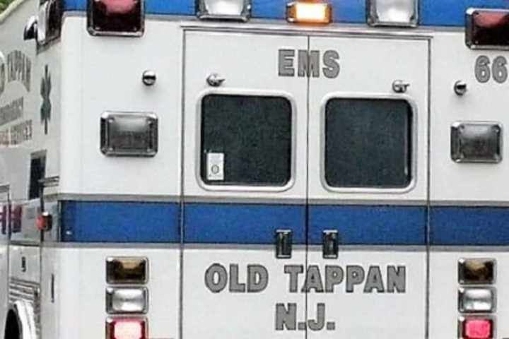 Family Dog Severs Ear Lobe Of Old Tappan Girl, 2