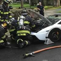 <p>Members of Engine 733 quickly doused the blaze at the corner of Hollywood Avenue and Dogwood Lane.</p>