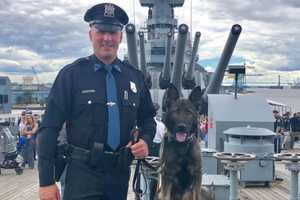 GOOD BOYS, GOOD BOYS: Meet Maywood Police Department's Newest K-9 Officer