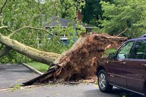 Thousands Still Without Power After Severe Storms Slam Long Island