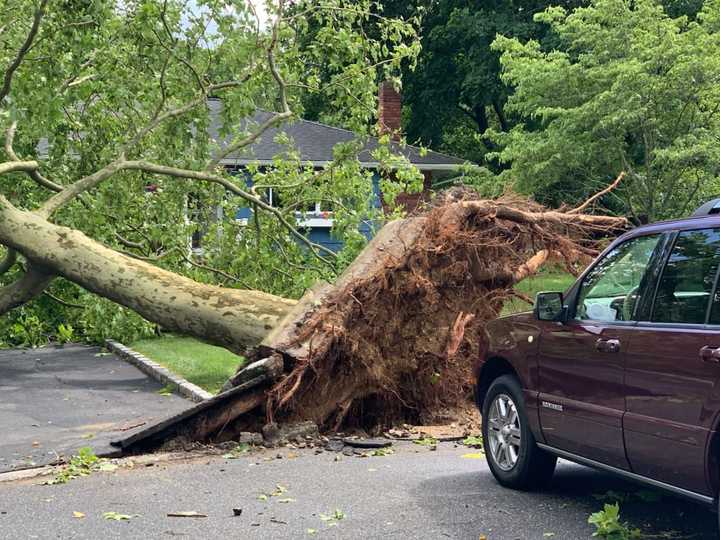 Numerous trees and power lines were brought down during Sunday&#x27;s storm.