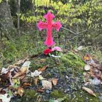 <p>A memorial in New Philadelphia. The text on the cross reads, "LONG LIVE HUNTER (and) ANGEL."</p>