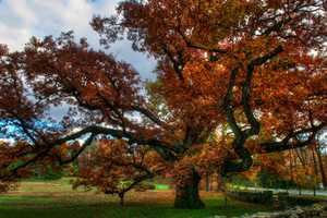 Fall Foliage Color Show Kicking Into High Gear Around Somers