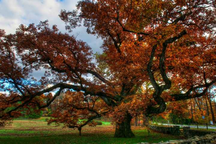 Fall Foliage Color Show Kicking Into High Gear Around Somers