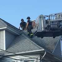 <p>Firefighters rescue the stranded dog.</p>