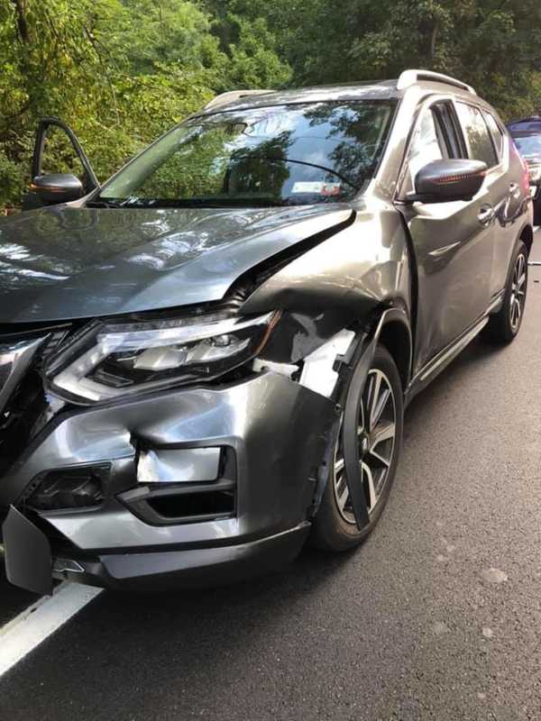 Car Crashes Into Bear On Route 202 In Area