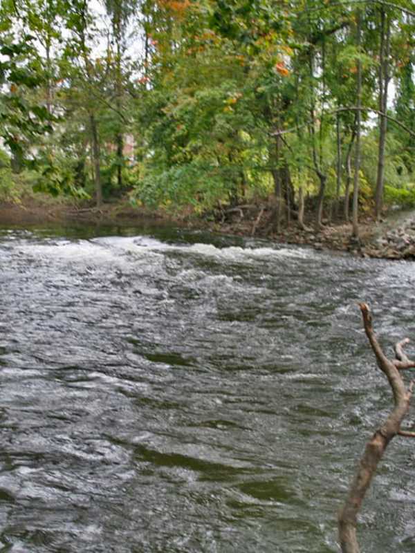 Dutchess Man Reported Missing Five Days Ago Found Dead In Creek