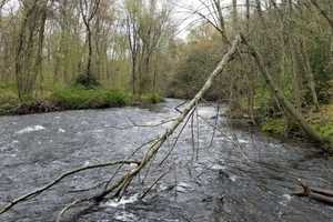 River Tragedy: CT Woman Dies When Canoe Overturns In Clinton