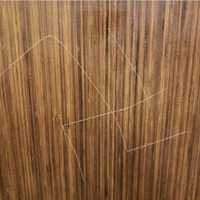 <p>One of the swastikas on the Starbucks door.</p>