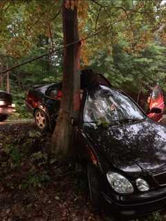 Teen Critically Injured After Crashing Into Tree In Dutchess