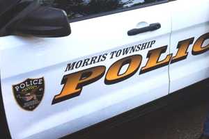 Clues Sought As Police Find Deer Killed With ‘Razor-Sharp’ Darts, Others Shot In Morris County