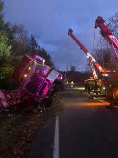 Tractor-Trailer Hauling Liquid Eggs Overturns In Sullivan County