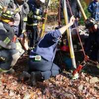 <p>Rescuers get to the 68-year-old resident who fell into a dry well in Hillsdale.</p>